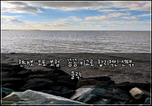 현대보 오토 보험 : 꼼꼼 비교로 합리적인 선택, 클릭!