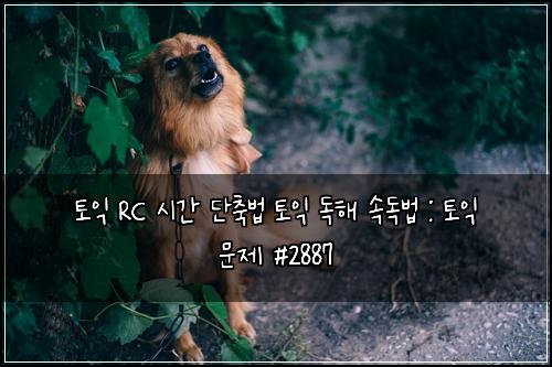 토익 RC 시간 단축법 토익 독해 속독법 : 토익 문제 #2887