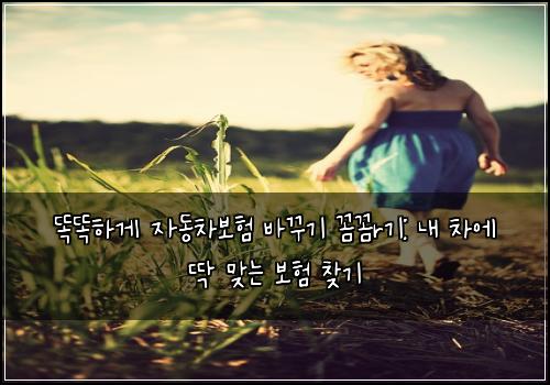  똑똑하게 자동차보험 바꾸기 꼼꼼r기: 내 차에 딱 맞는 보험 찾기