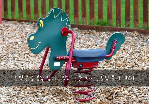 토익 문법 공식 암기 토익과 토플 차이 : 토익 문제 #221