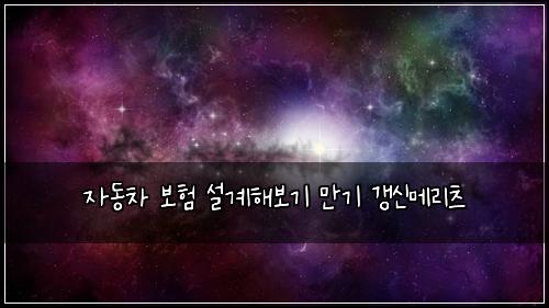자동차 보험 설계해보기  만기 갱신메리츠