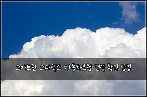  스마트한 스타렉스 자동차보험 견적 확인 방법