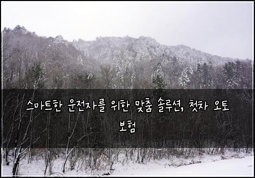  스마트한 운전자를 위한 맞춤 솔루션, 첫차 오토 보험