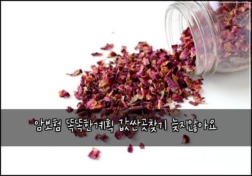 암보험 똑똑한계획  값싼곳찾기 늦지않아요