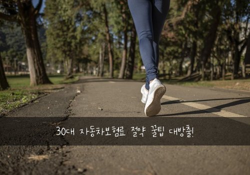 30대 자동차보험료 절약 꿀팁 대방출!