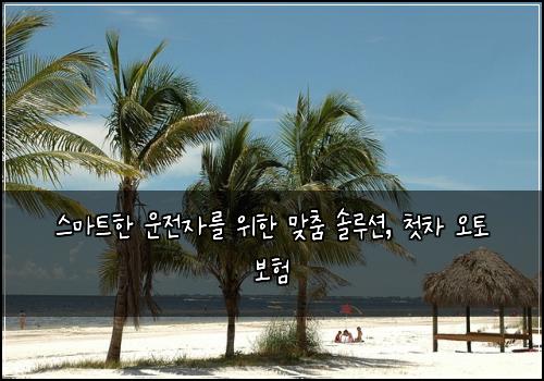  스마트한 운전자를 위한 맞춤 솔루션, 첫차 오토 보험