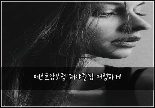 ๋ฉ๋ฅด์ธ ์๋ณดํ ํด์ผํ ์ ์ ๋ ดํ๊ฒ