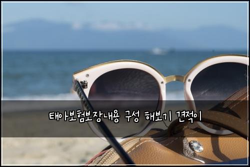 태아보험보장내용 구성 해보기 견적이