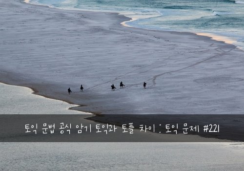 토익 문법 공식 암기 토익과 토플 차이 : 토익 문제 #221