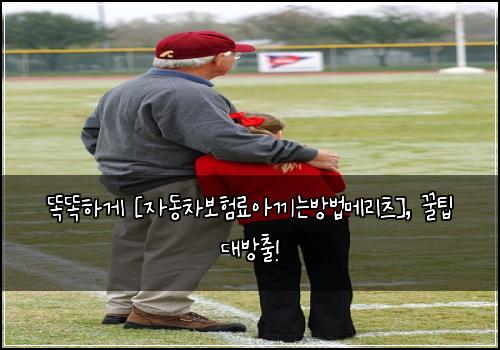  똑똑하게 [자동차보험료아끼는방법메리츠], 꿀팁 대방출!