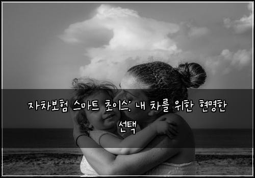  자차보험 스마트 초이스: 내 차를 위한 현명한 선택