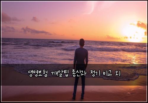 생명보험 깨알팁  종신과 정기 비교 외