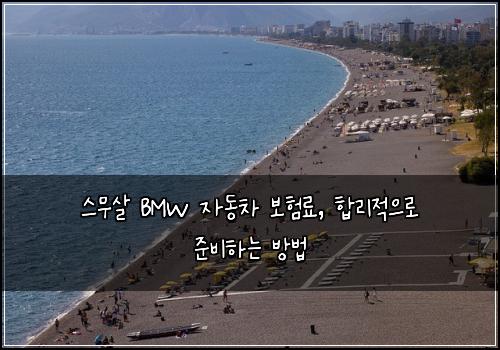  스무살 BMW 자동차 보험료, 합리적으로 준비하는 방법