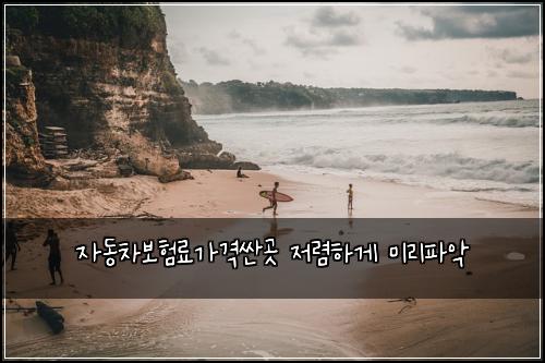 ์๋์ฐจ๋ณดํ๋ฃ๊ฐ๊ฒฉ์ผ๊ณณ ์ ๋ ดํ๊ฒ ๋ฏธ๋ฆฌํ์
