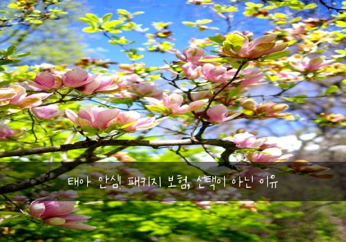 태아 안심! 패키지 보험, 선택이 아닌 이유