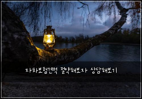 ์์ฐจ๋ณดํ๊ฒฌ์ ์ ์ฝํด๋ณด์ ์๋ดํด๋ณด๊ธฐ
