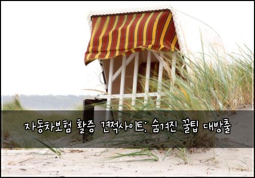 자동차보험 활증 견적사이트: 숨겨진 꿀팁 대방출