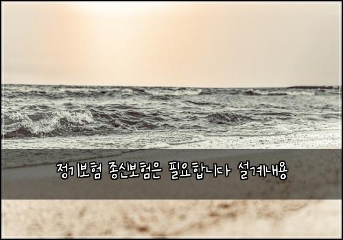 정기보험 종신보험은 필요합니다 설계내용