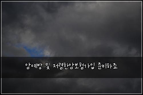 암예방 및 저렴한암보험가입 준비하죠