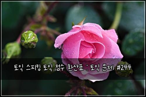 토익 스피킹 토익 점수 환산표 : 토익 문제 #244