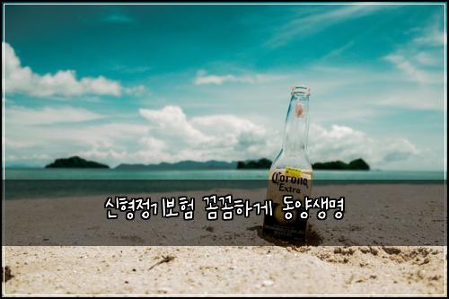 신형정기보험 꼼꼼하게  동양생명