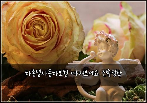 ์ฐจ์ข
๋ณ์๋์ฐจ๋ณดํ ๋ฐ์ ธ๋ณด์ธ์ ์ ์์ ํ