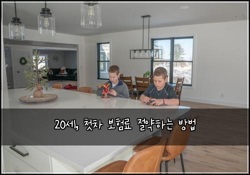 20세, 첫차 보험료 절약하는 방법