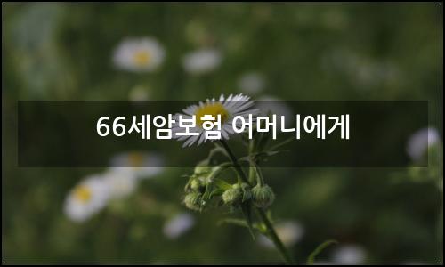 오늘의 이미지
