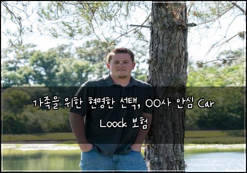  가족을 위한 현명한 선택, OO사 안심 Car Loock 보험