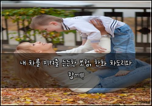  내 차를 지켜줄 든든한 보험, 한화 차도리와 함께!