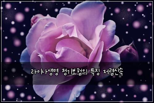 라이나생명 정기보험의 특징 저렴신속