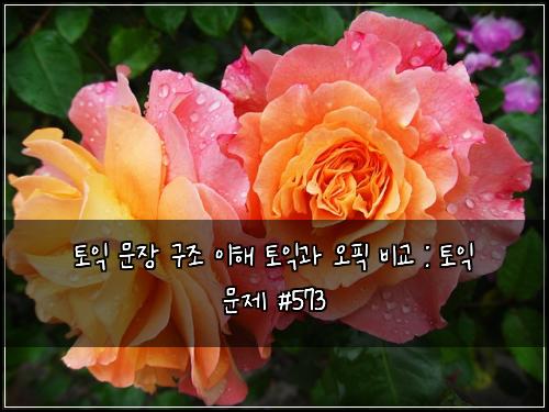 ํ ์ต ๋ฌธ์ฅ ๊ตฌ์กฐ ์ดํด ํ ์ต๊ณผ ์คํฝ ๋น๊ต : ํ ์ต ๋ฌธ์ #573