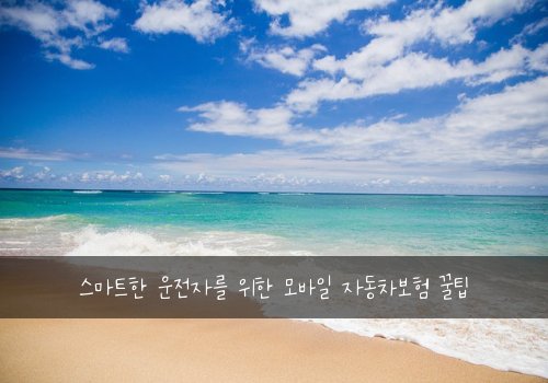  스마트한 운전자를 위한 모바일 자동차보험 꿀팁