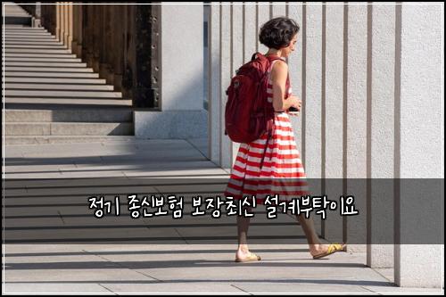 정기 종신보험 보장최신  설계부탁이요