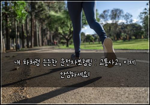  내 차처럼 든든한 운전자보험팀 : 교통사고, 이제 안심하세요!