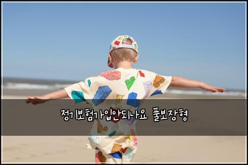 정기보험가입안되나요 풀보장형