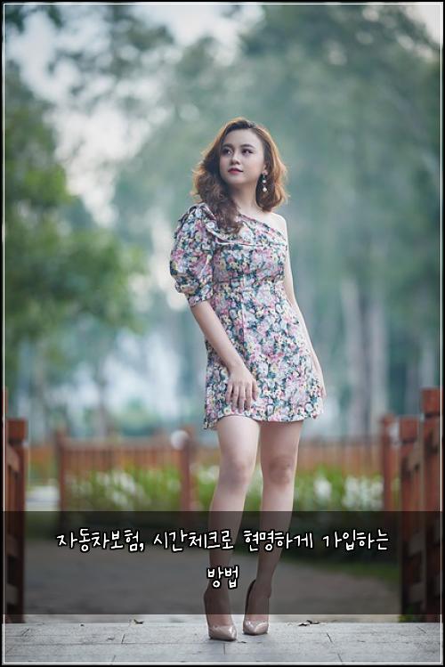 자동차보험, 시간체크로 현명하게 가입하는 방법