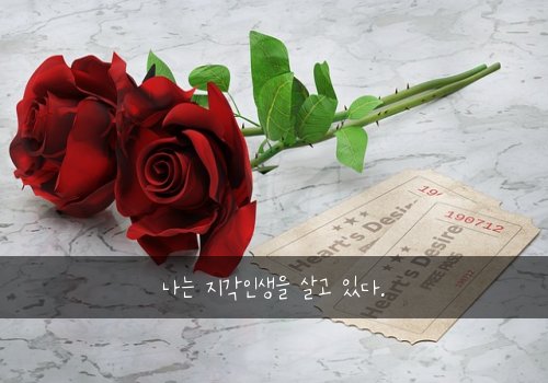 나는 지각인생을 살고 있다.