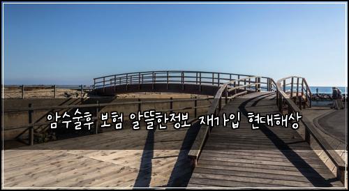암수술후 보험 알뜰한정보  재가입 현대해상