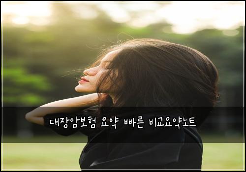 대장암보험 요약  빠른 비교요약노트