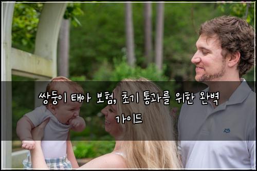  쌍둥이 태아 보험, 초기 통과를 위한 완벽 가이드