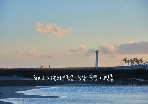 30대 자동차보험료 절약 꿀팁 대방출!