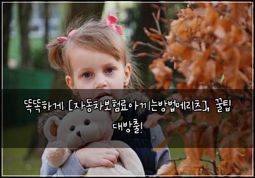  똑똑하게 [자동차보험료아끼는방법메리츠], 꿀팁 대방출!