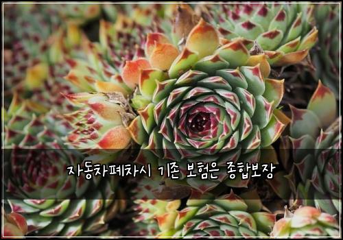 ์๋์ฐจํ์ฐจ์ ๊ธฐ์กด ๋ณดํ์ ์ข
ํฉ๋ณด์ฅ