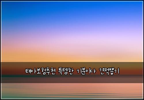 태아보험추천 특템한 기분이다 견적뽑기