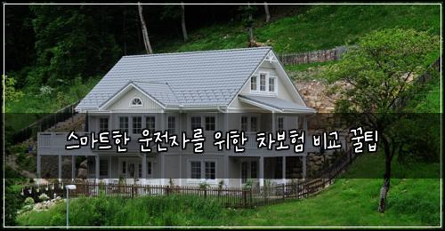  스마트한 운전자를 위한 차보험 비교 꿀팁