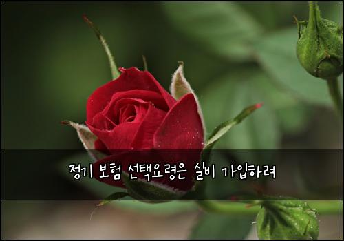 ์ ๊ธฐ ๋ณดํ ์ ํ์๋ น์ ์ค๋น ๊ฐ์
ํ๋ ค
