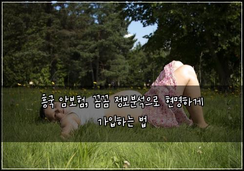 흥국 암보험, 꼼꼼 정보분석으로 현명하게 가입하는 법