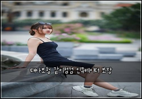 태아보험 같이점검  인큐베이터 보장