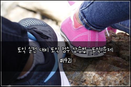 토익 실전 대비 토익 점수 상승법 : 토익 문제 #1421